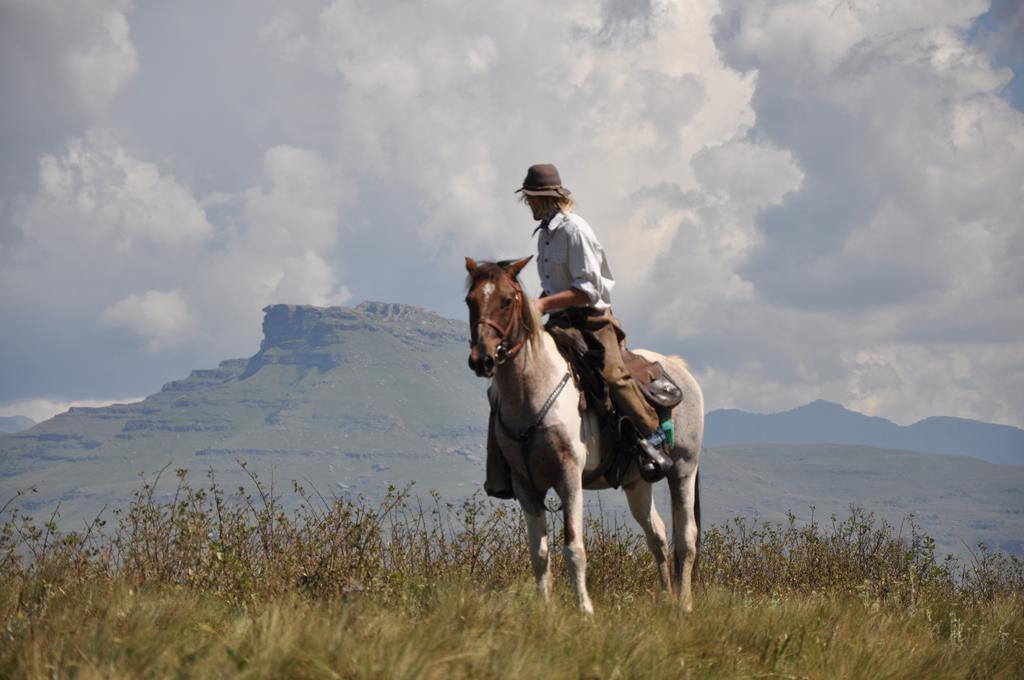 Khotso Lodge & Horse Trails Underberg Exterior photo